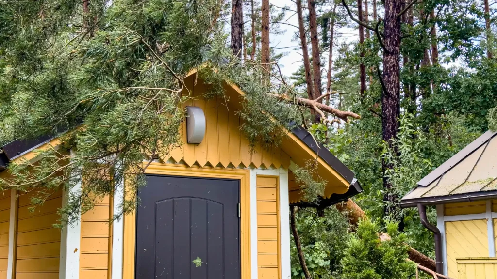 Storm damage to house with tree on roof in Traverse City MI