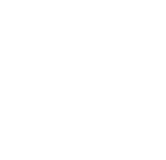 Roof Inspection icon