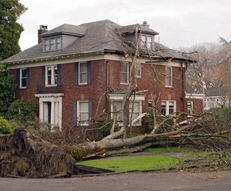 A heavy tree trunk has fallen directly onto a Traverse City residential roof, causing severe structural damage to the shingles, decking, and roofline. The image highlights the urgency of professional storm damage restoration and emergency tarping services in Northern Michigan.