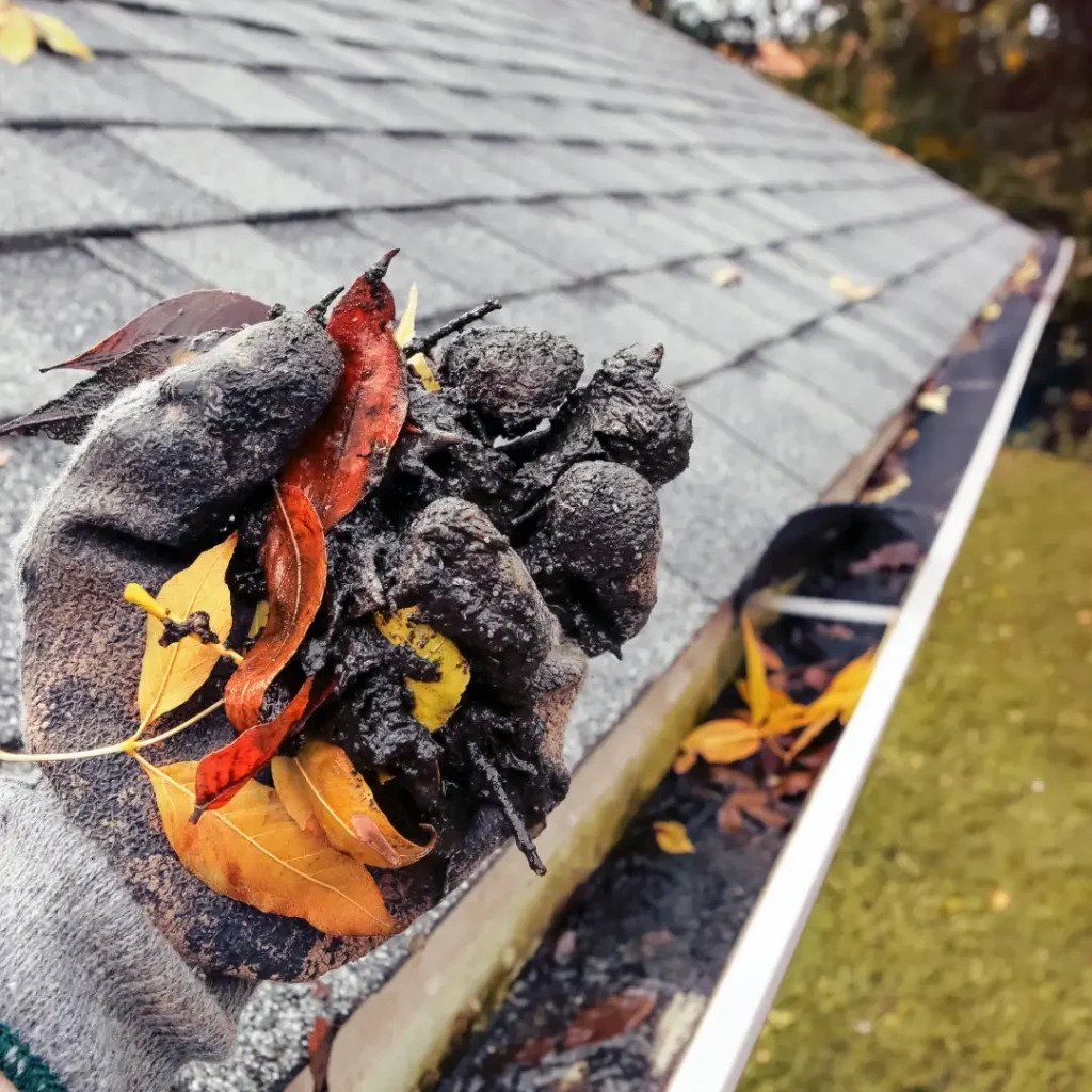 residential seasonal roof maintenance in Grand Traverse County, MI