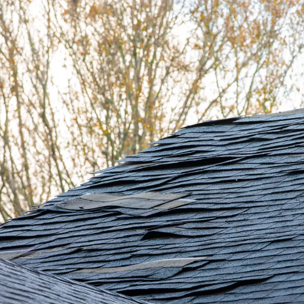 Residential storm damage in Grand Traverse County, Michigan